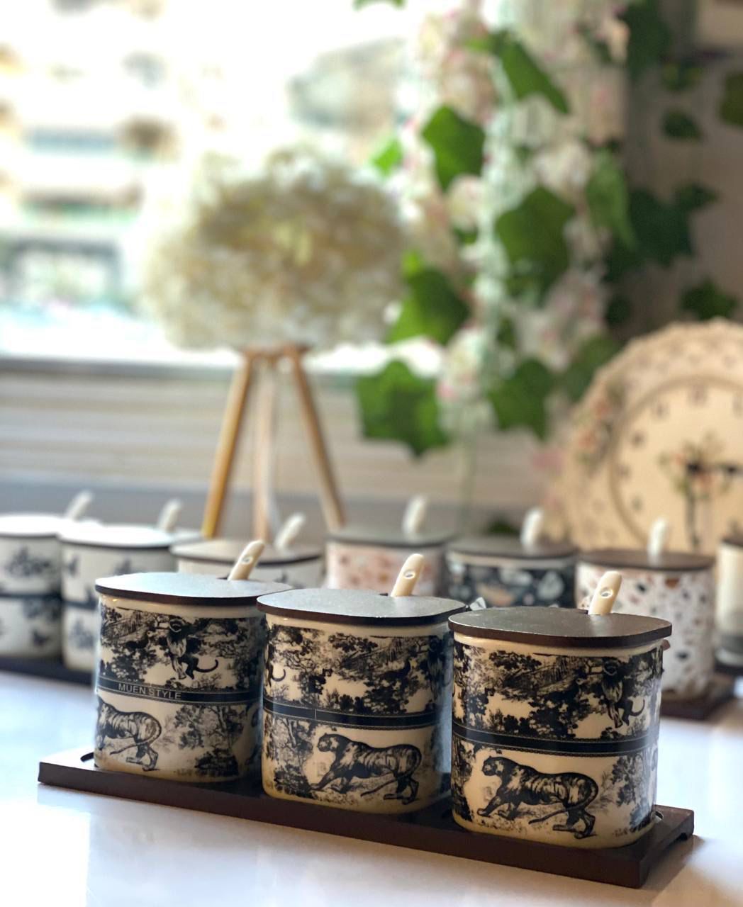 Porcelain Spice Jar Set
