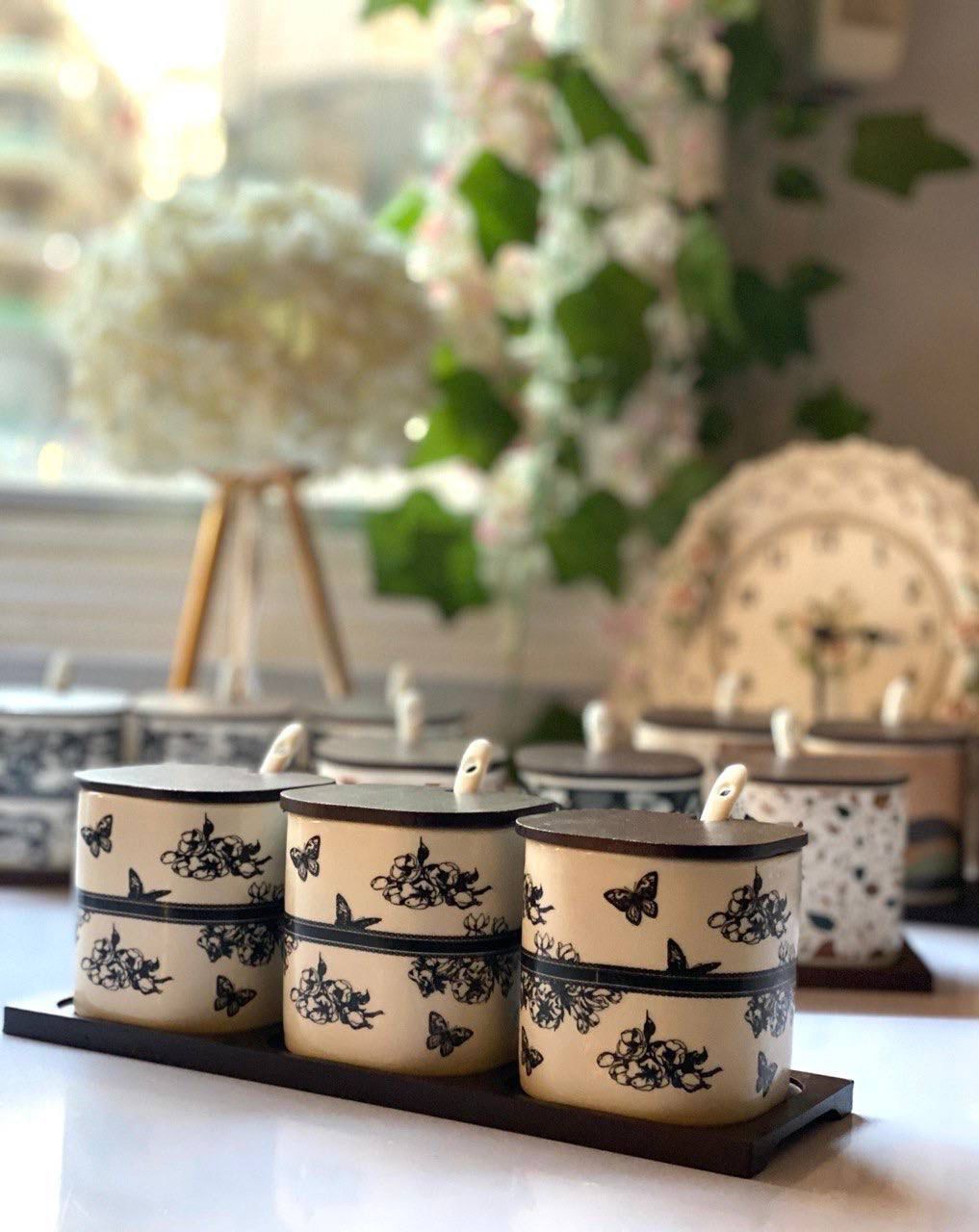 Porcelain Spice Jar Set