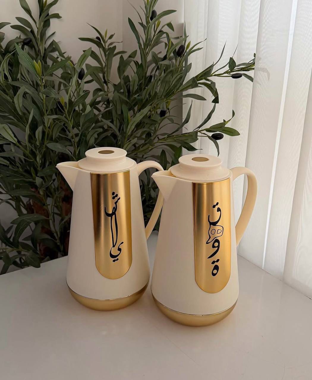 Coffee & Tea Thermos Set