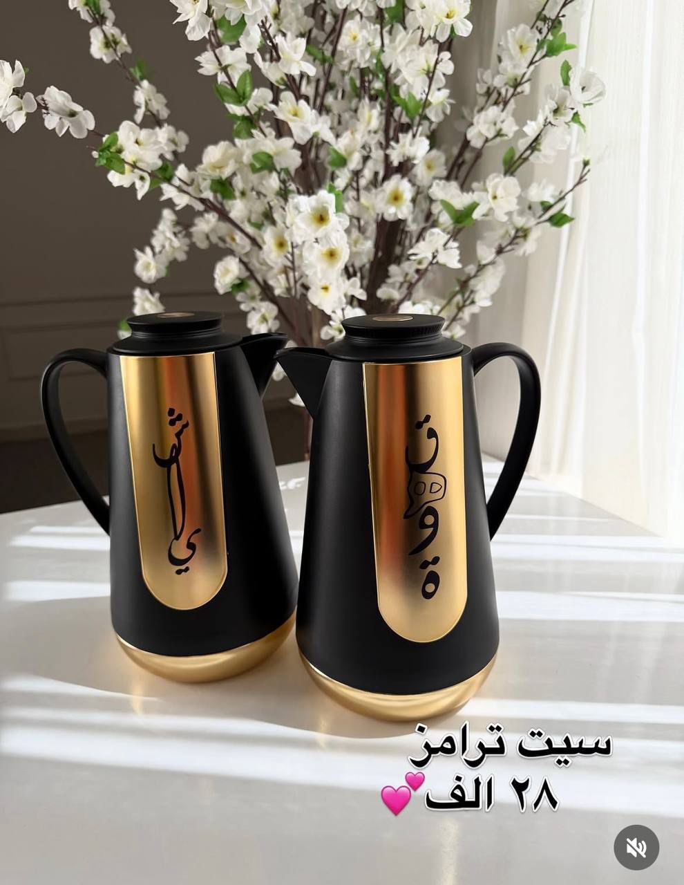 Coffee & Tea Thermos Set
