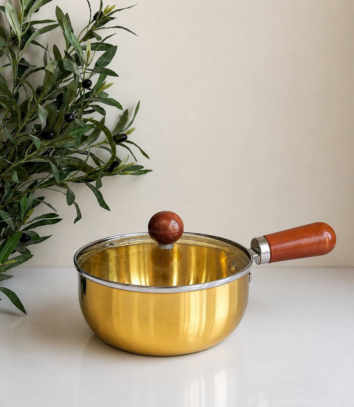 Stainless Steel Saucepan